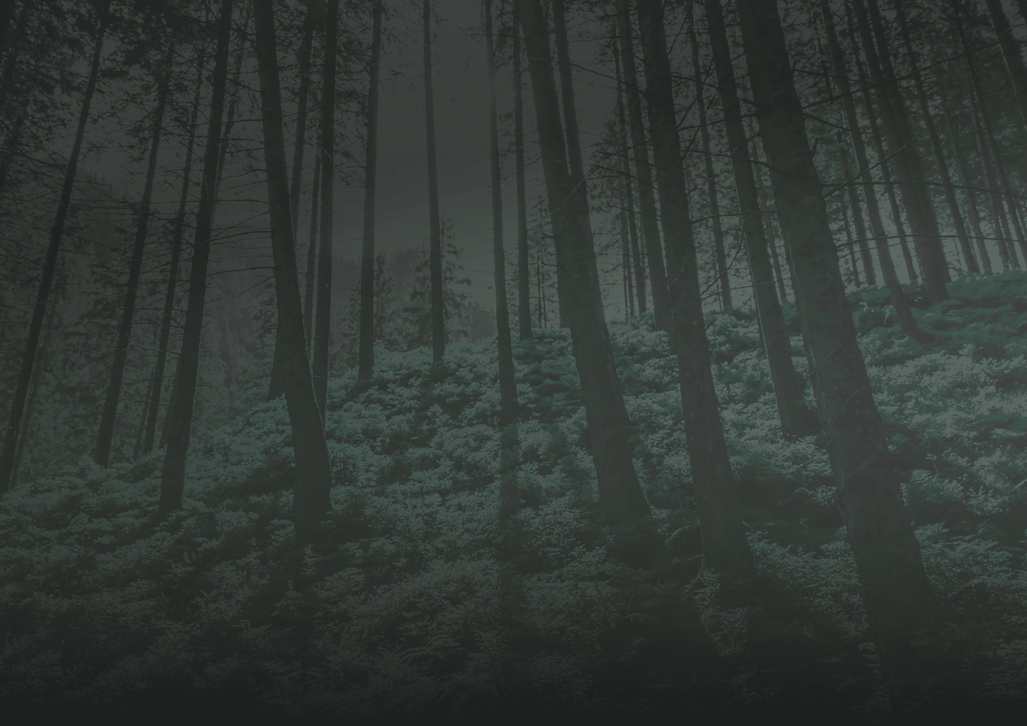 Poetry background